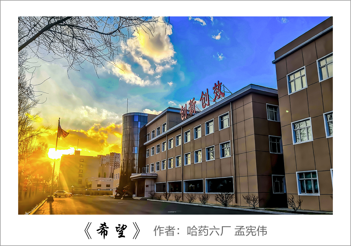 【迎国庆 展风采】我眼中的365英国上市集团官网——职工摄影大赛作品展示！