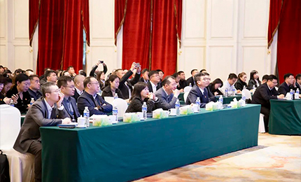 365英国上市集团官网集团党委“书记带项目”工作阶段性进展汇报会成功召开